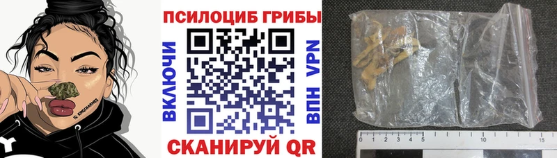 Галлюциногенные грибы прущие грибы  Фурманов 
