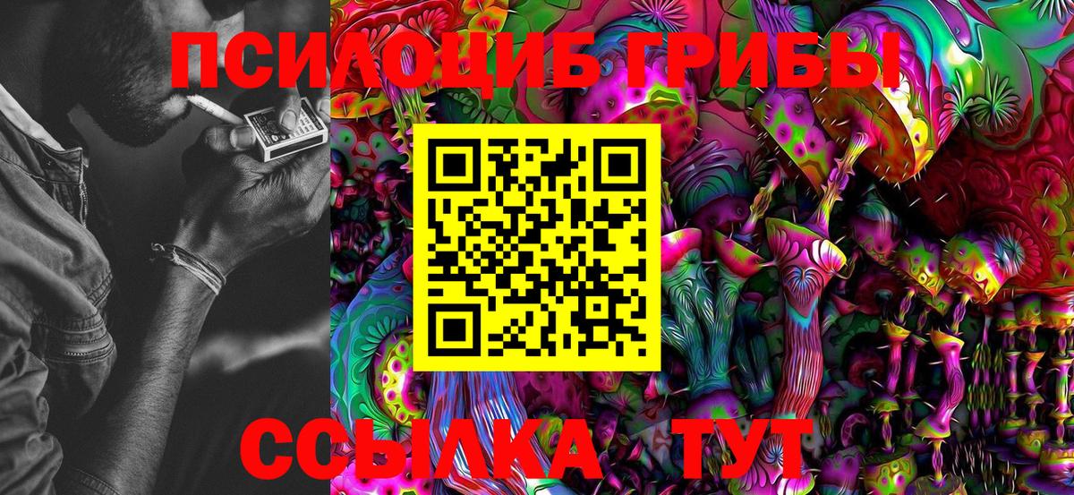 Псилоцибиновые грибы прущие грибы  Галлюциногенные грибы MAGIC MUSHROOMS  Фурманов 
