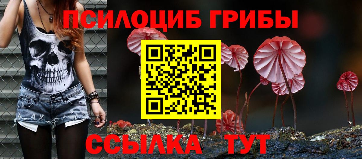 Галлюциногенные грибы Psilocybine cubensis  Галлюциногенные грибы ЛСД  Вход с VPN  Фурманов 