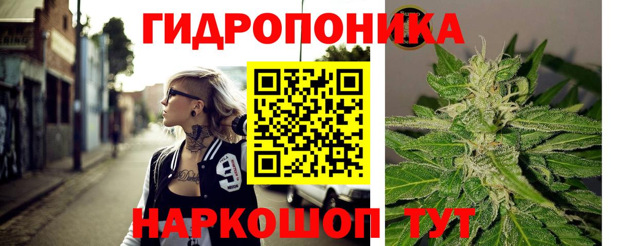 Фурманов  МАРИХУАНА конопля  Конопля планчик  Вход с VPN  Каннабис марихуана 